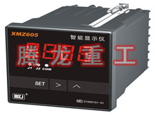 溫度表、數(shù)字顯示儀、濕度表