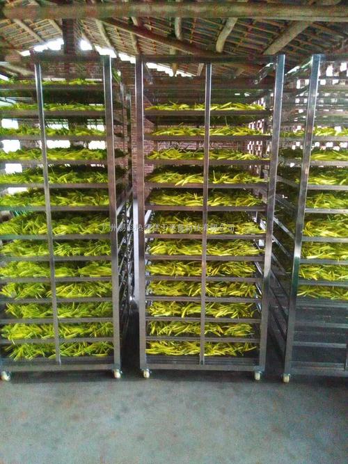黃花菜烘干機(jī)、黃花菜烘干設(shè)備、黃花菜干燥機(jī)、黃花菜干燥設(shè)備、